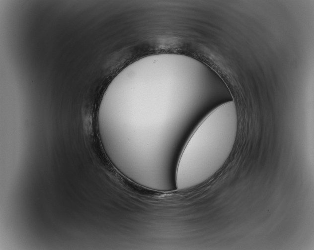 X0000098150269200804171203