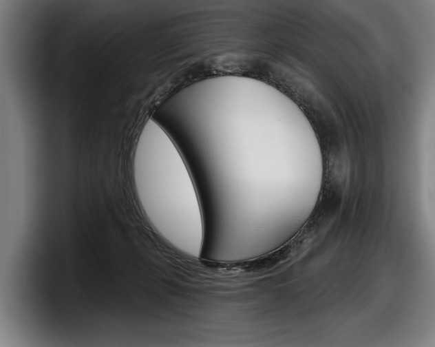 X0000098150271200804171203