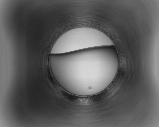 X0000098150272200804171203