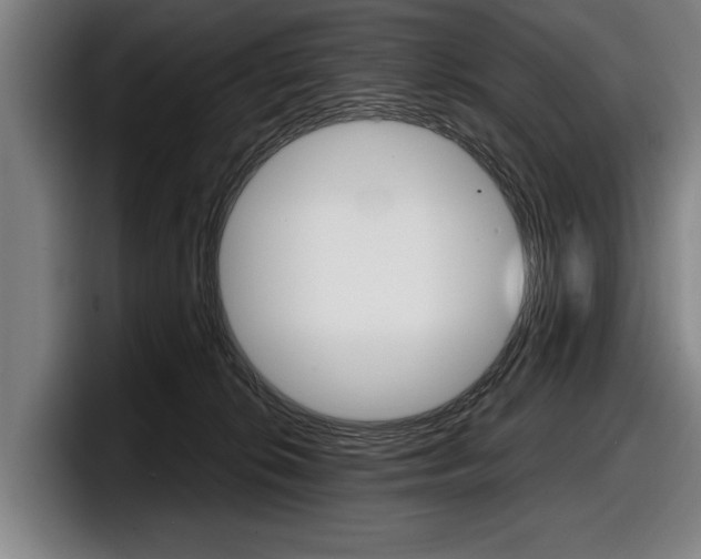 X0000098150276200804171203