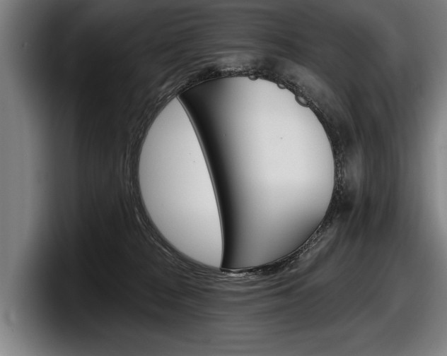 X0000098150277200804171203