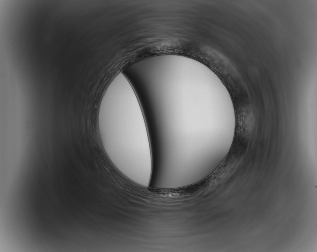 X0000098150278200804171203