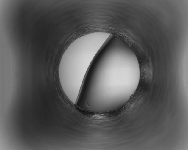 X0000098150280200804171203