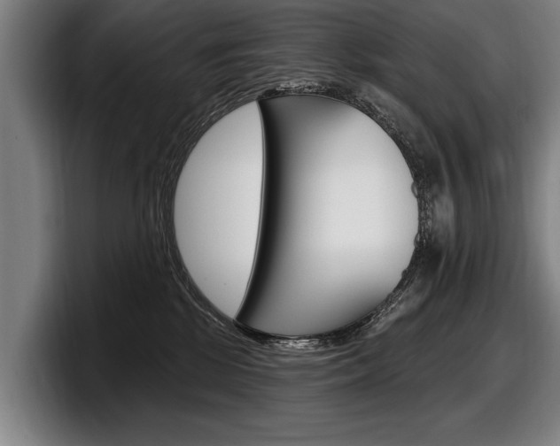 X0000098150281200804171203