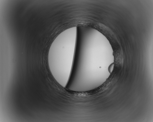 X0000098150282200804171203