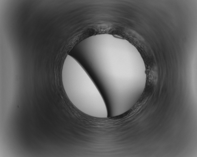 X0000098150283200804171203