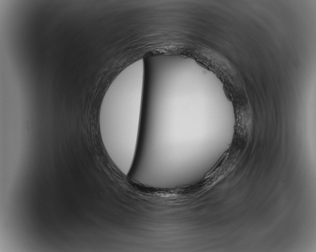 X0000098150284200804171203