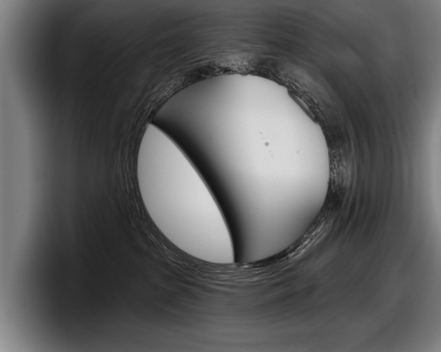 X0000098150285200804171203