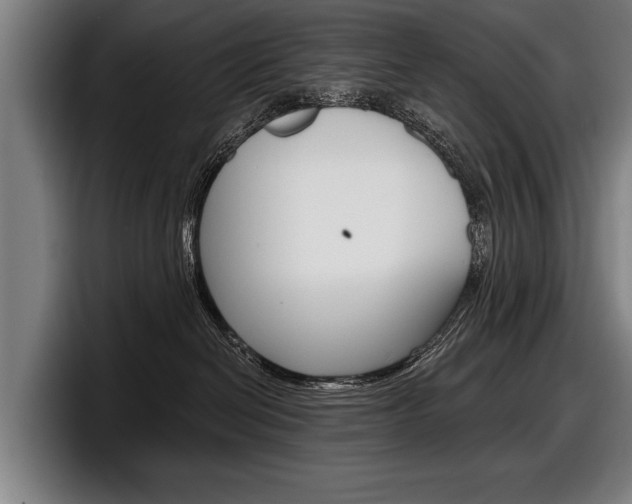 X0000098150286200804171203