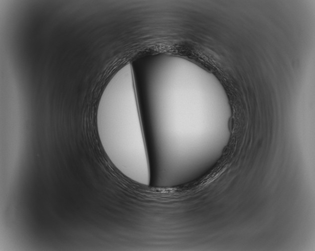 X0000098150288200804171203