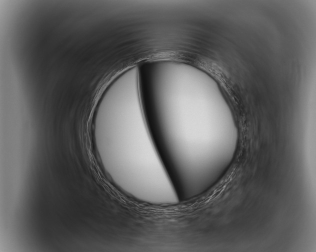 X0000098150289200804171202