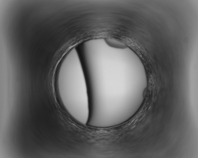 X0000098150290200804171202