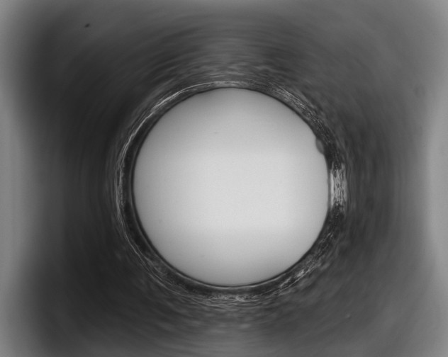 X0000098150291200804171202