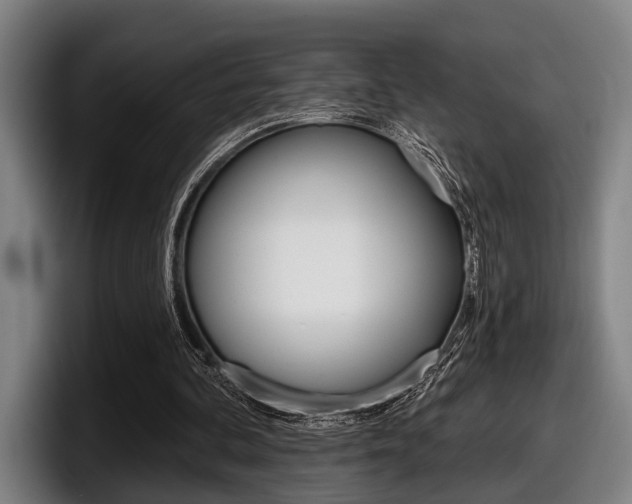 X0000098150292200804171202
