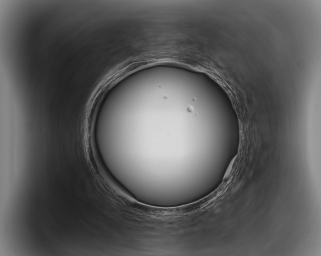 X0000098150293200804171202