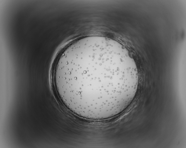 X0000098150294200804171202
