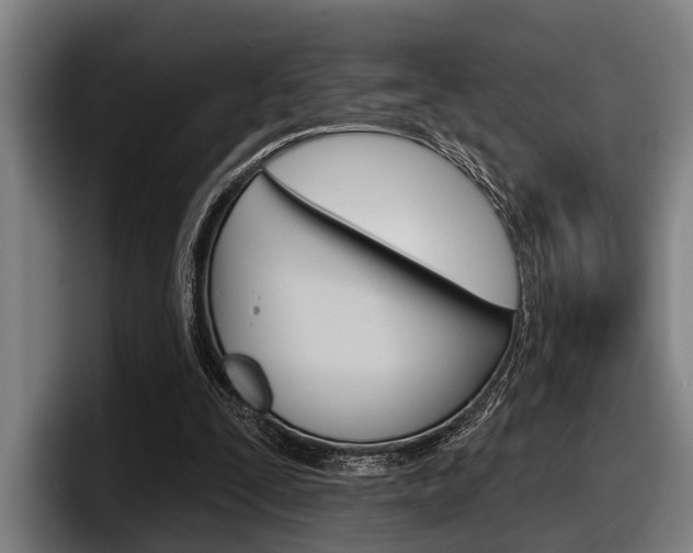 X0000098150295200804171202