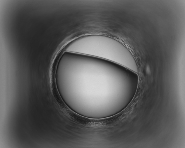 X0000098150296200804171202