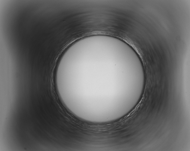 X0000098150297200804171202
