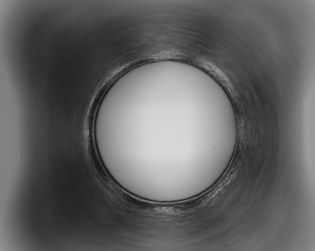 X0000098150298200804171202