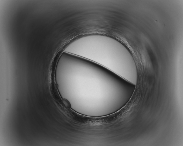 X0000098150299200804171202