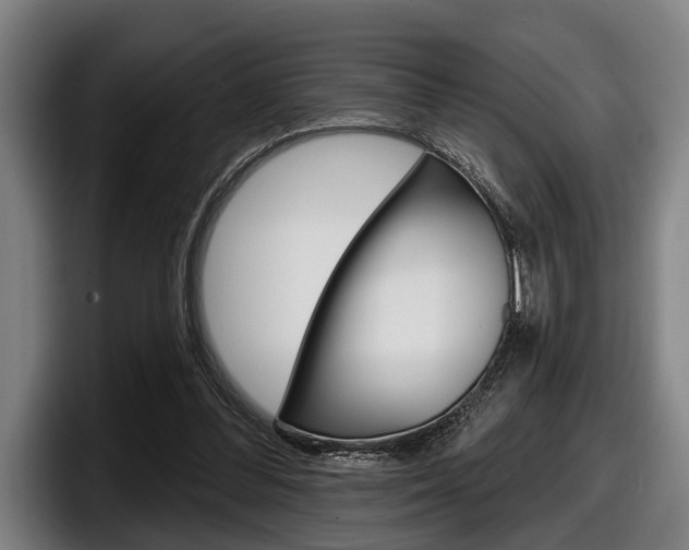 X0000098150300200804171202