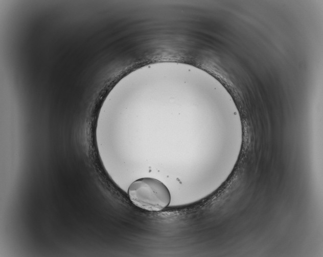 X0000098150302200804171202