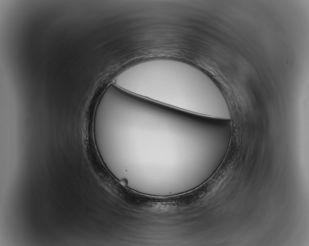 X0000098150303200804171202