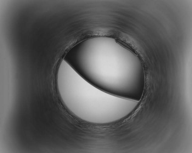 X0000098150305200804171202