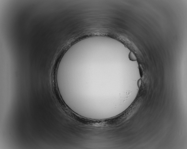 X0000098150306200804171202