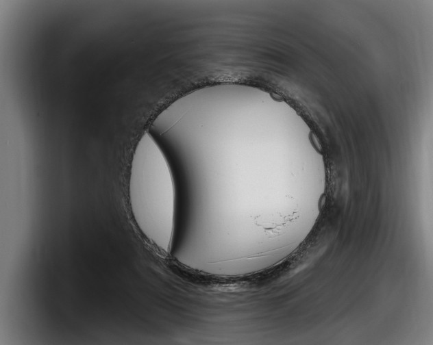 X0000098150307200804171202