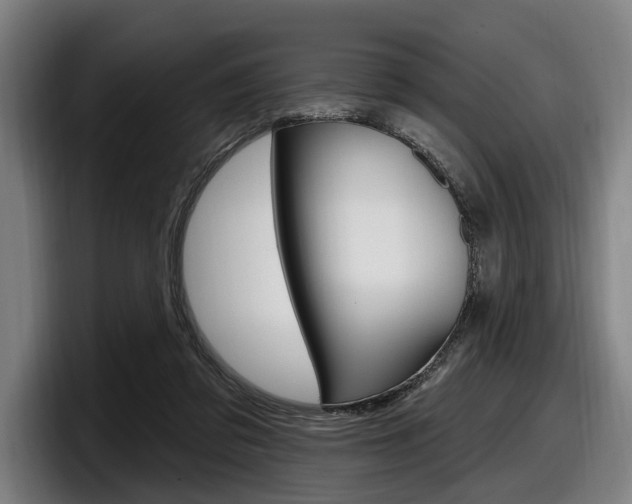 X0000098150309200804171202