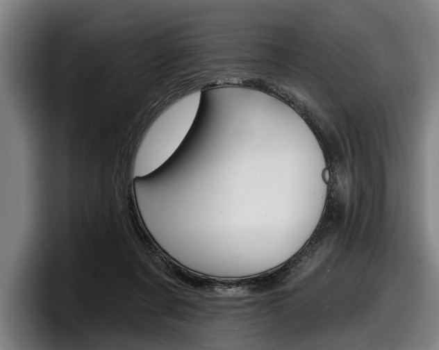 X0000098150311200804171202