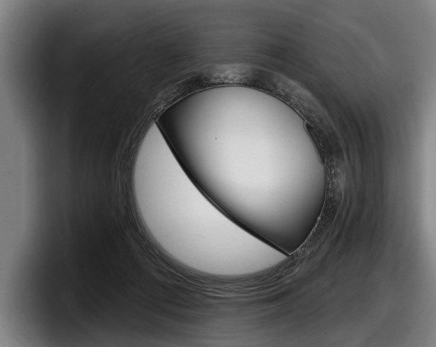 X0000098150312200804171202