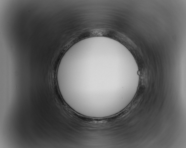 X0000098150314200804171202