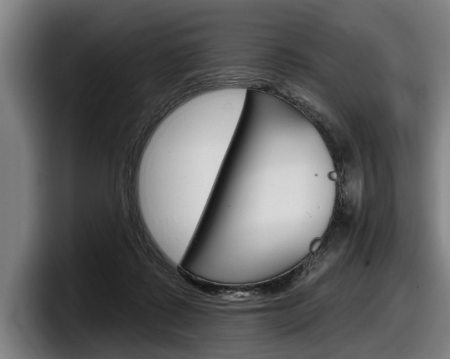 X0000098150315200804171202