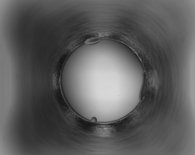 X0000098150316200804171202