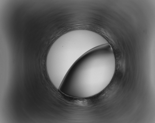 X0000098150317200804171202