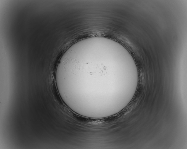 X0000098150318200804171202