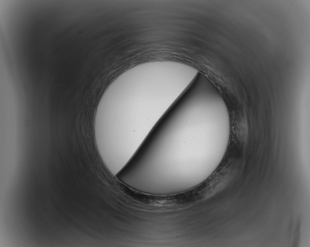 X0000098150319200804171202