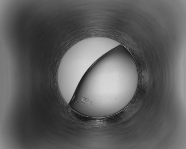 X0000098150320200804171202