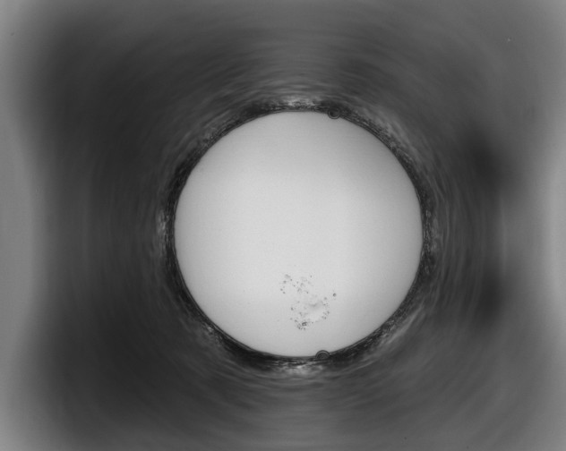 X0000098150321200804171202