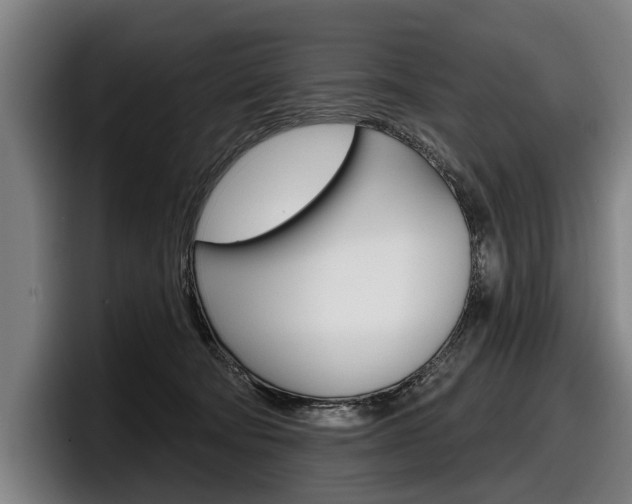 X0000098150322200804171202