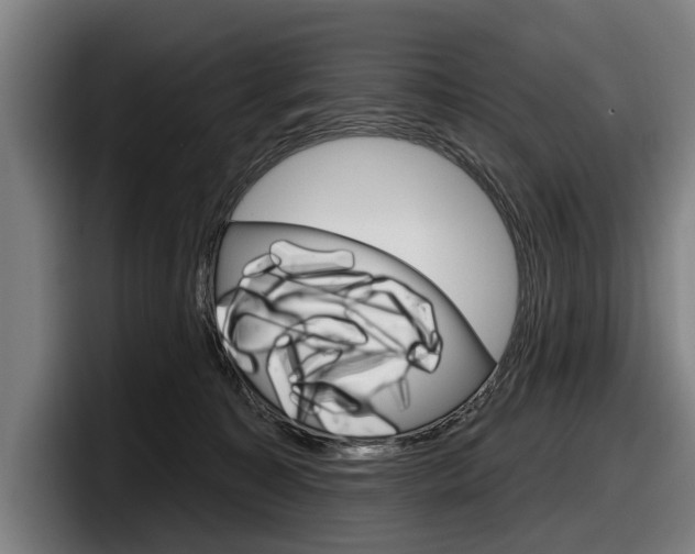 X0000098150323200804171202