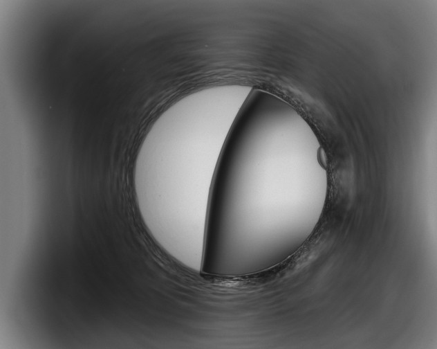 X0000098150325200804171202