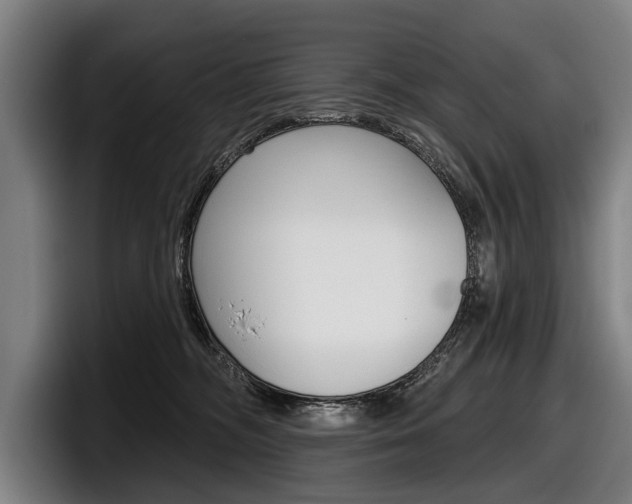 X0000098150326200804171202