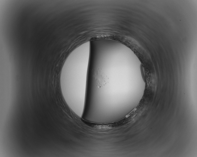 X0000098150327200804171202