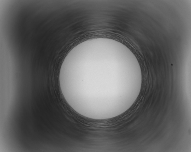 X0000098150328200804171202