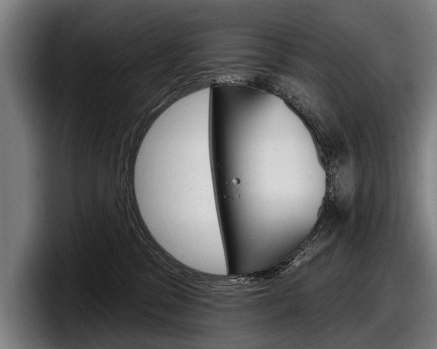 X0000098150329200804171202