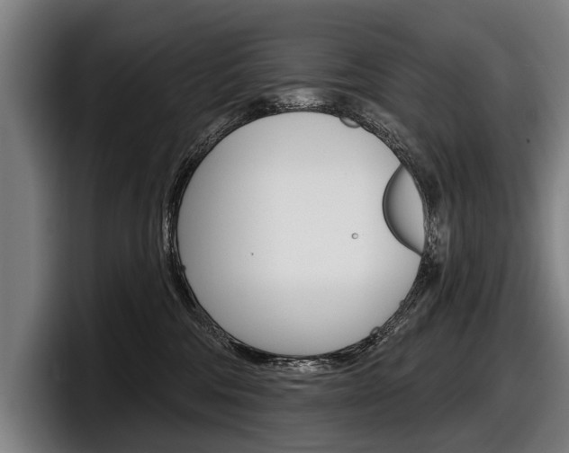 X0000098150330200804171202